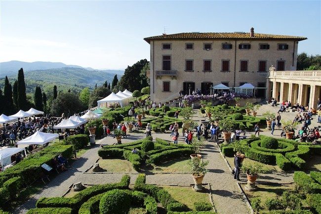 Ecco il 