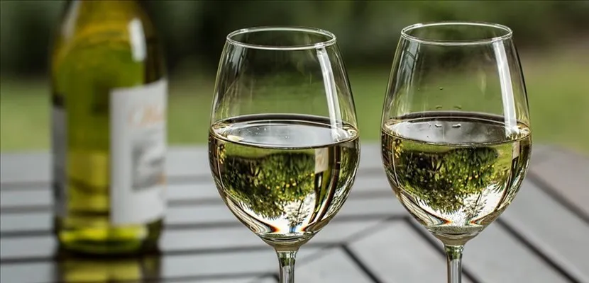 Si può bere vino con il Solleone? Certo!!!