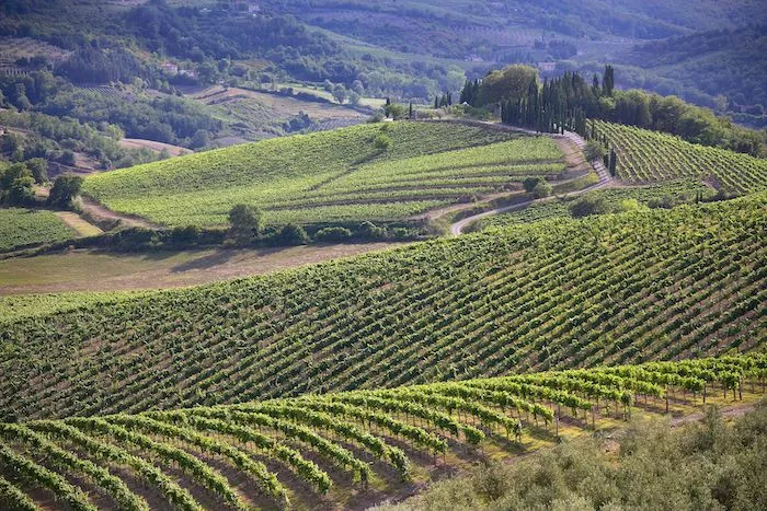 La Regione Toscana con Giani sostiene il paesaggio del Chianti Classico a Patrimonio dell'umaninità